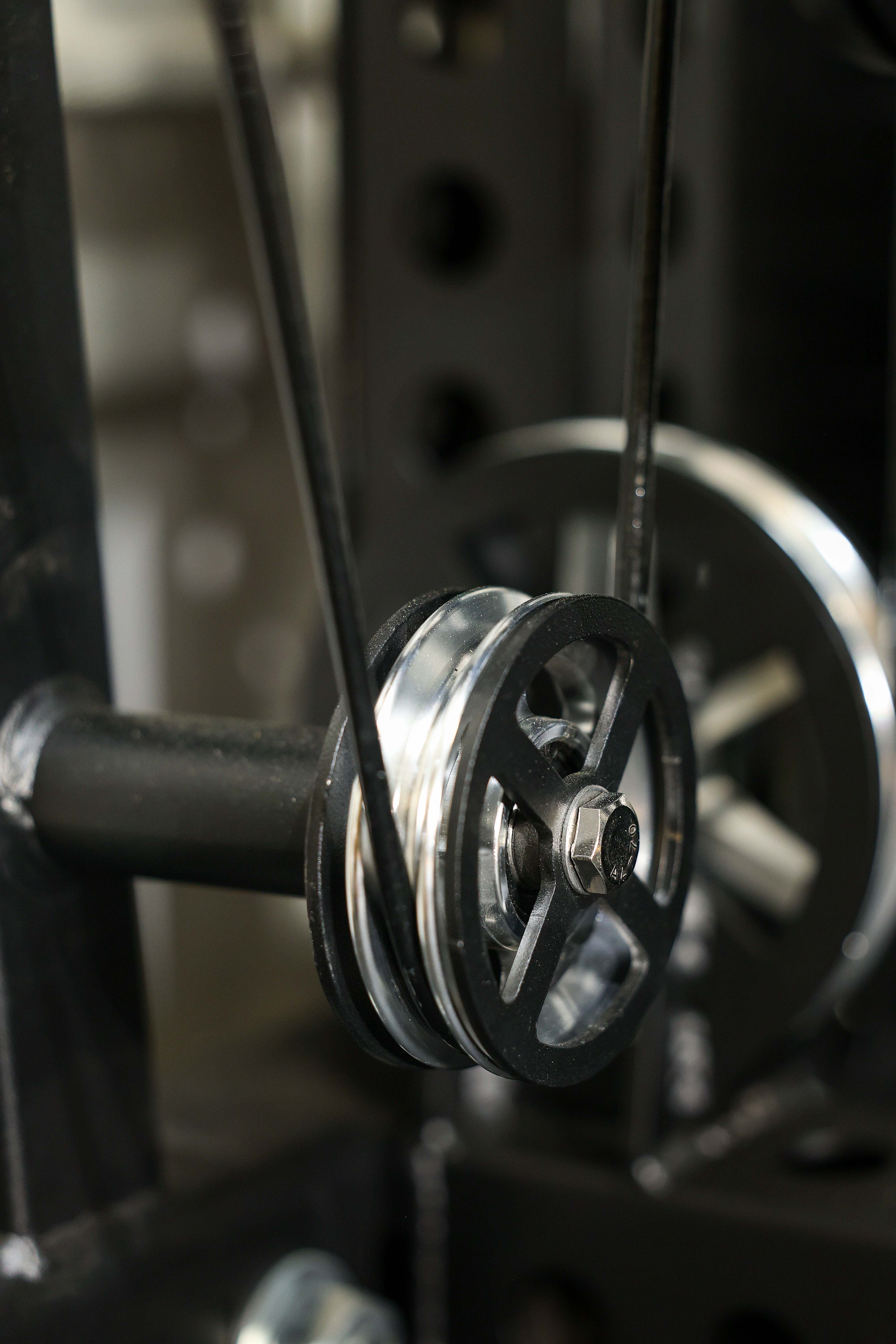 Leg Curl/Leg Extension